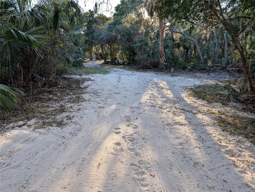 Picture 31