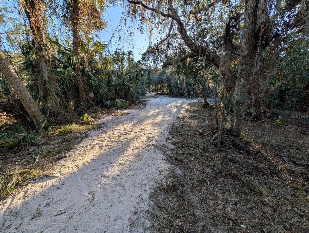 Picture 25