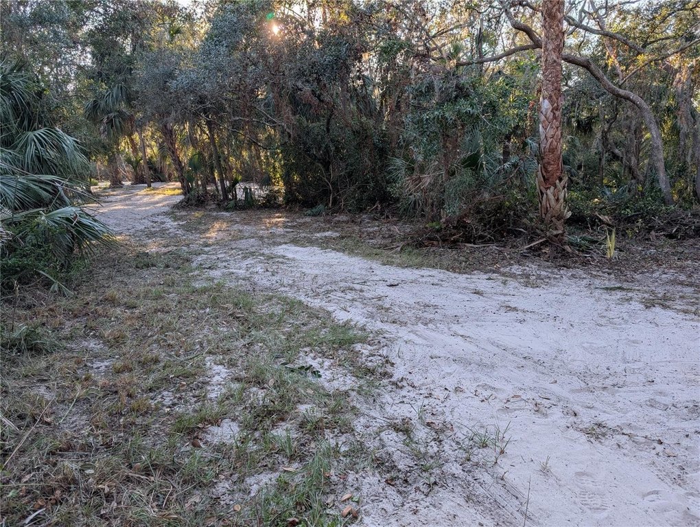 Picture 19