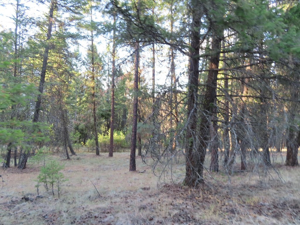 Picture 21