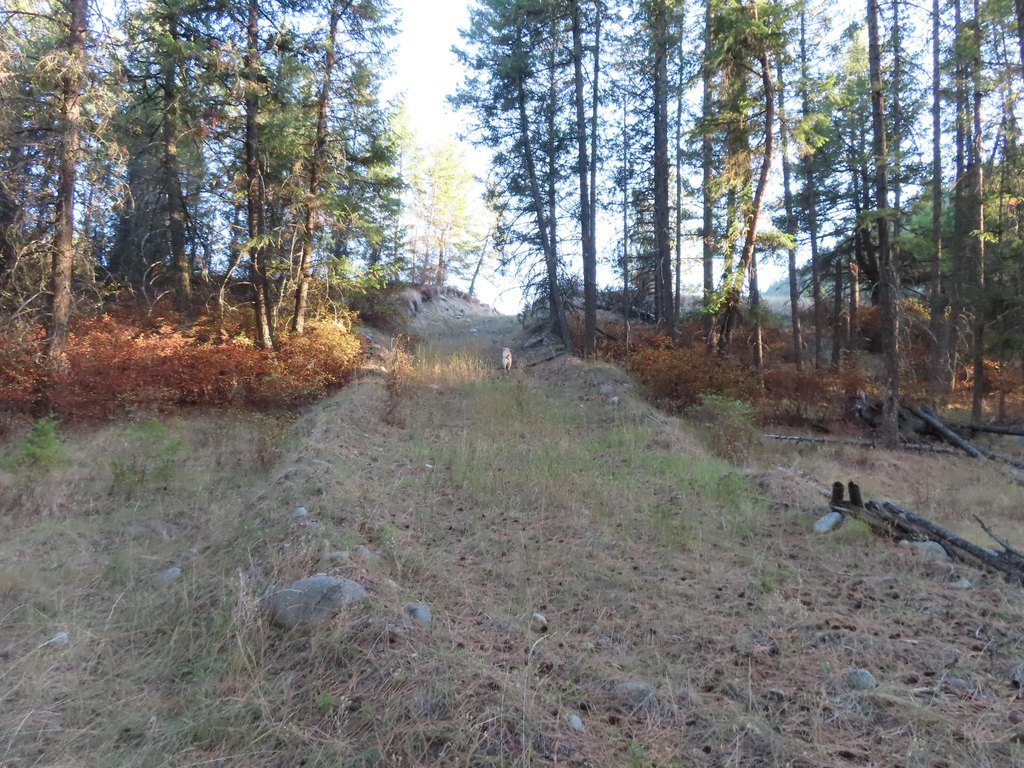 Picture 23