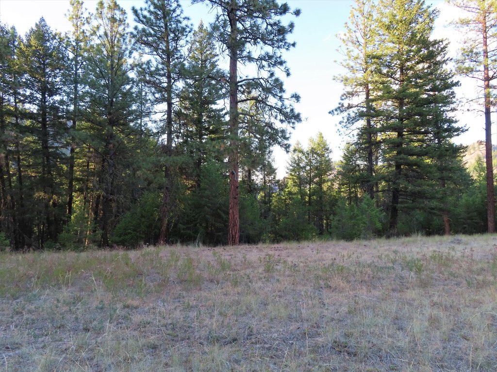 Picture 19