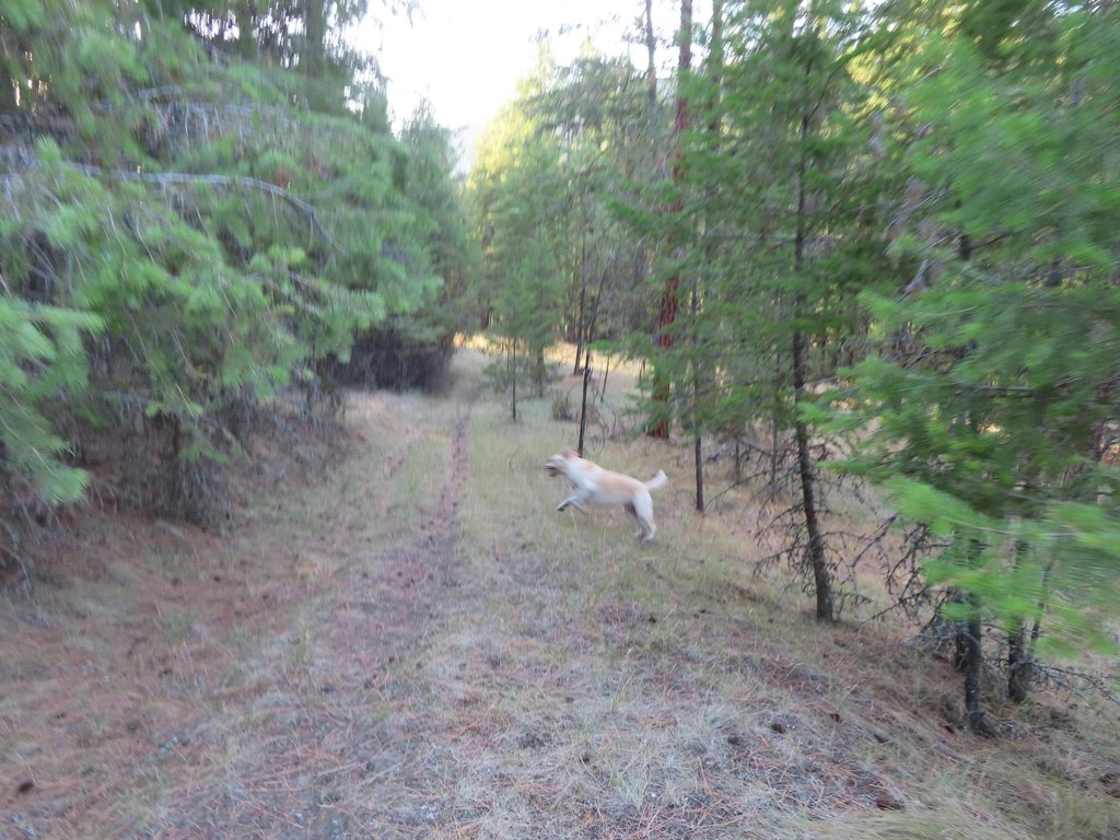 Picture 22