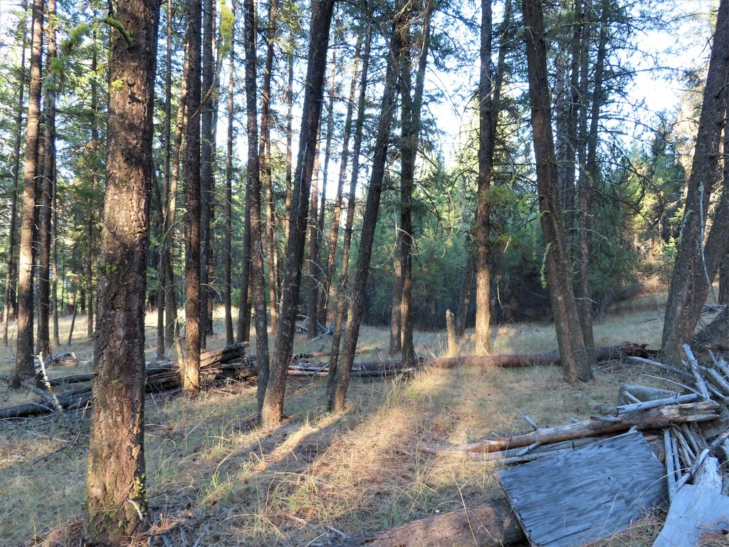 Picture 25