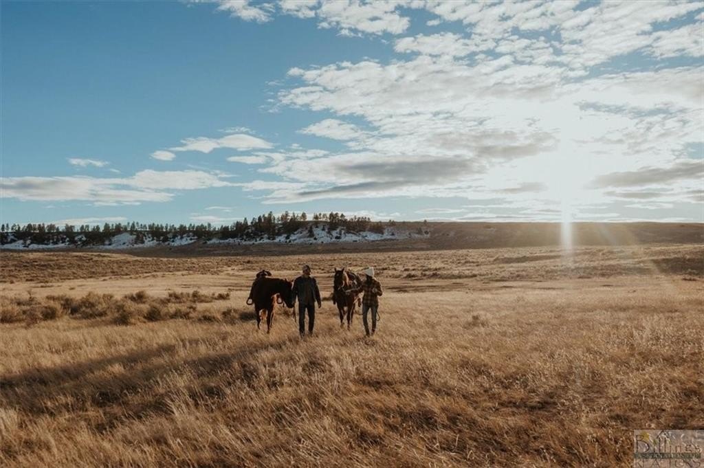 Picture 33