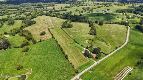 Cattle and Hay Farm