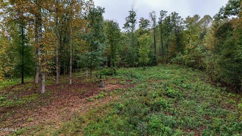 Land, Johnson City, TN