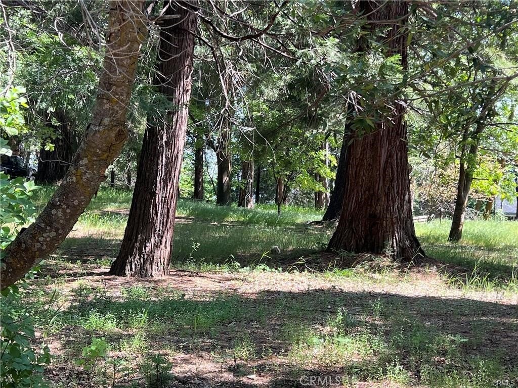 Picture 28