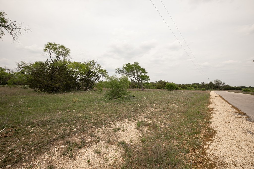 Picture 25