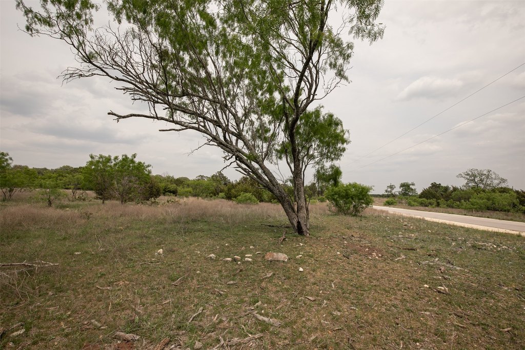 Picture 23