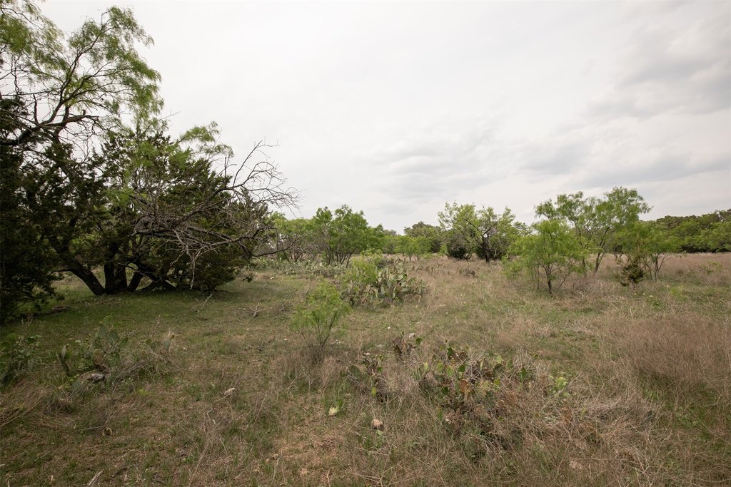Picture 24