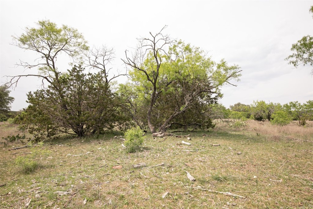 Picture 22