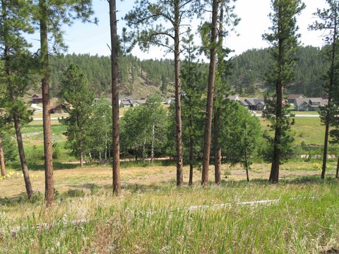 Residential Land Lot in Hill City