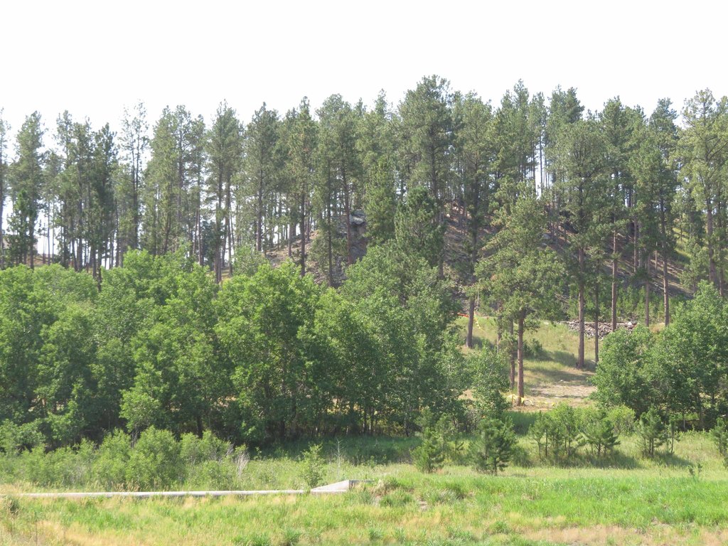 Picture 18