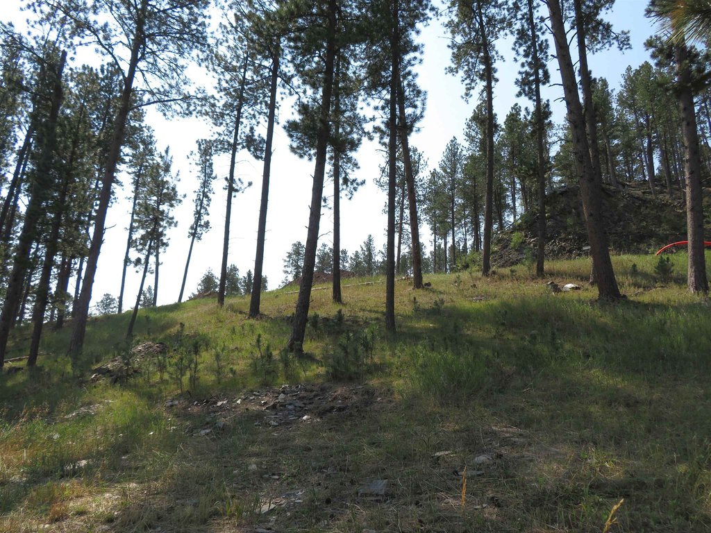 Picture 14
