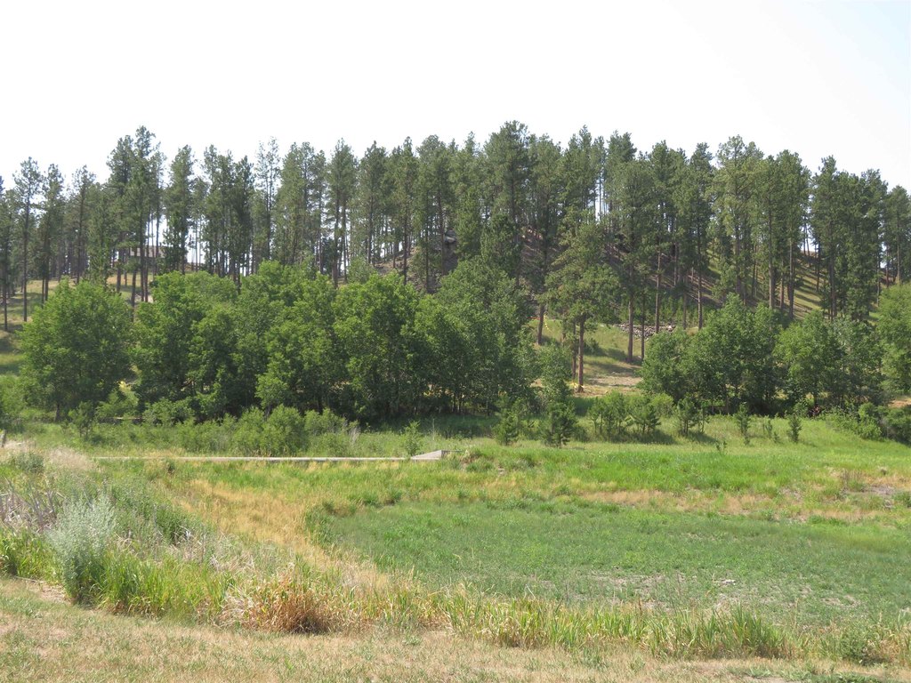 Picture 17