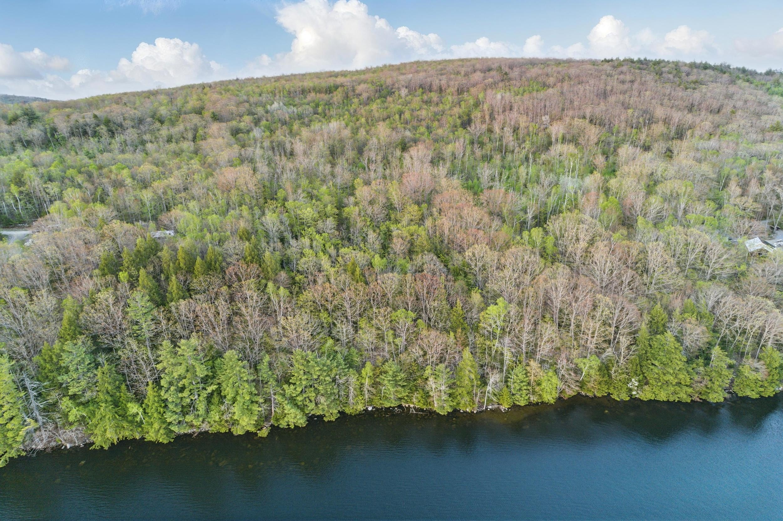 Brewer Lake Waterfront Land Parcel