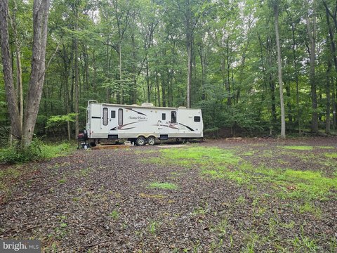Picturesque Wooded Land Near Jennings Randolph