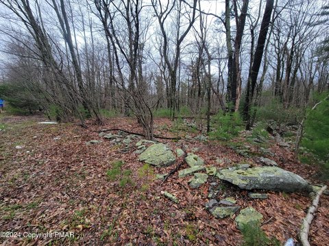 Land, Dingmans Ferry, PA