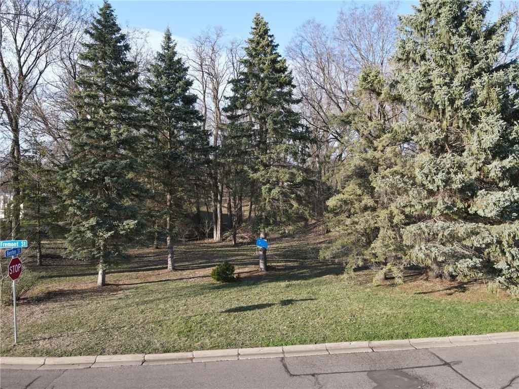 Picture 3