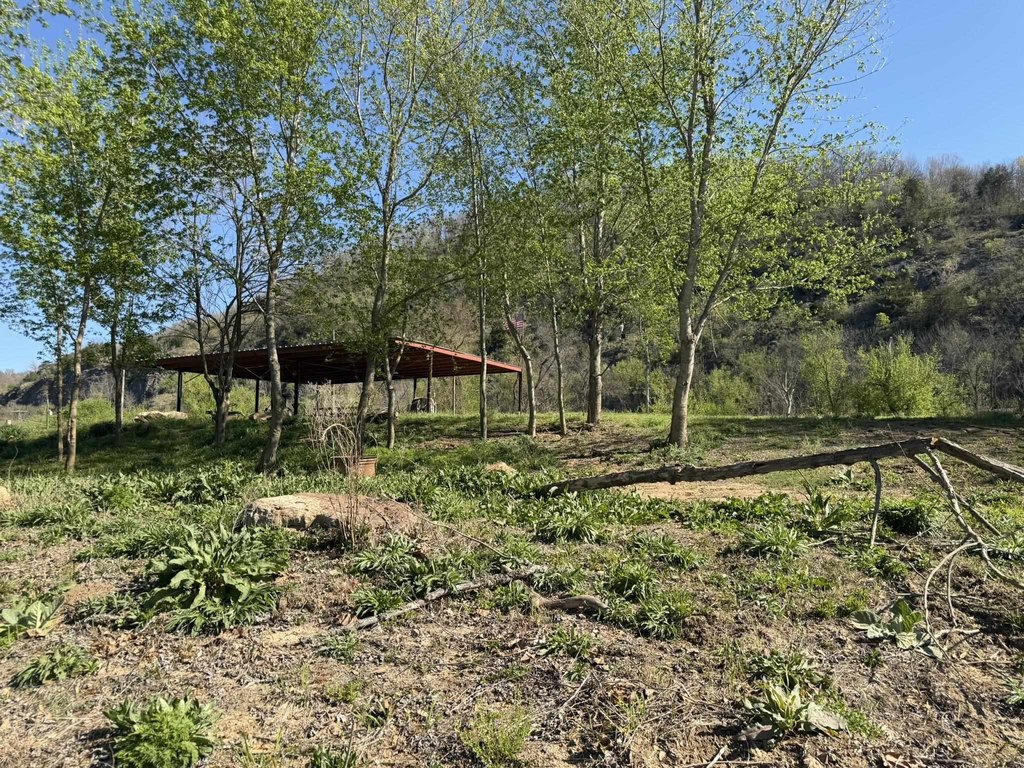 Picture 23