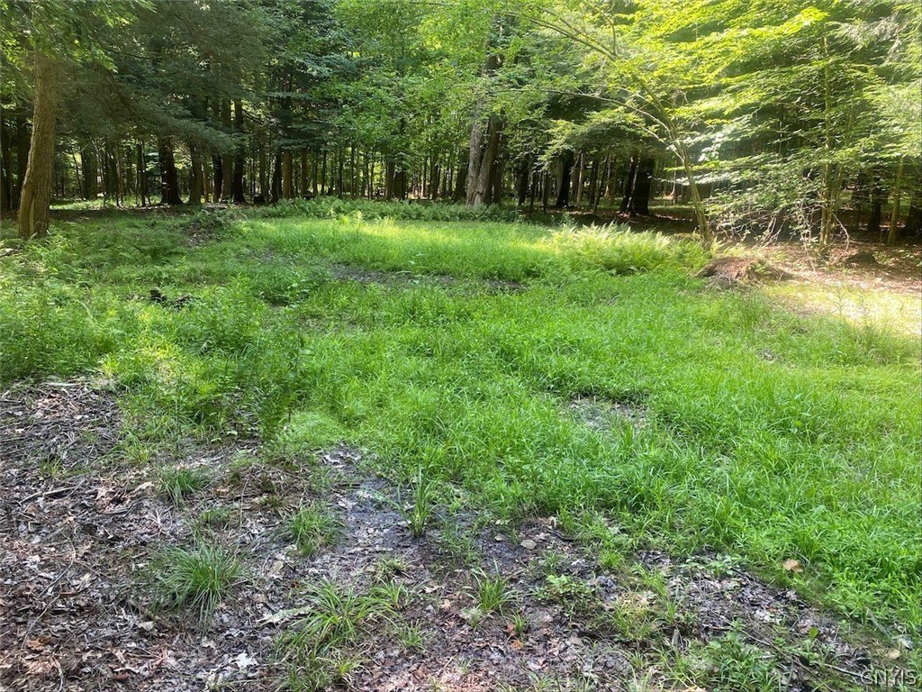 Picture 27