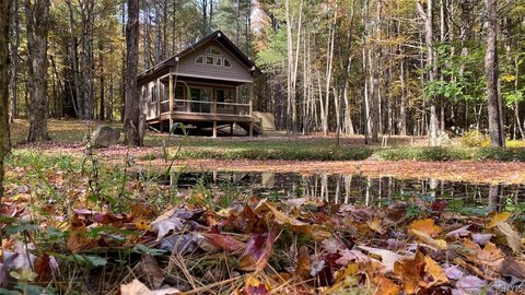 LAND - Cottage - Hunt, NY