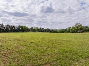 Appling GA Private Acreage