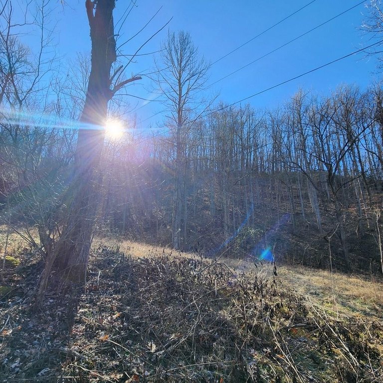 Picture 17