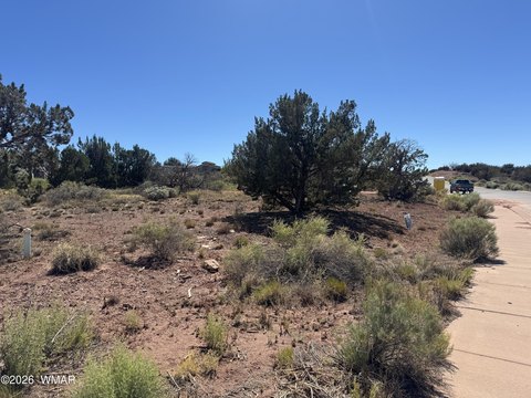 LAND - Snowflake, AZ