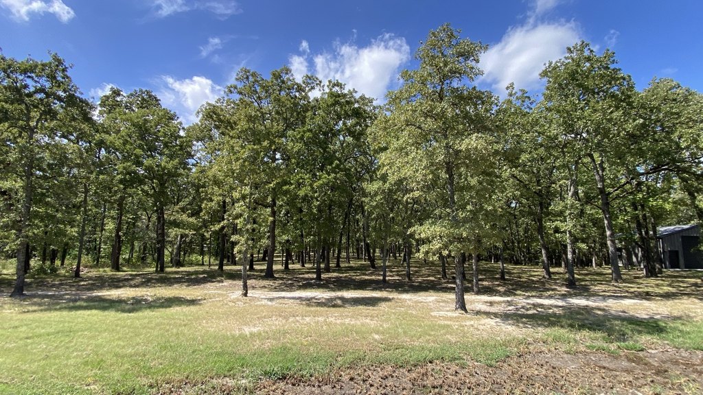 Picture 2