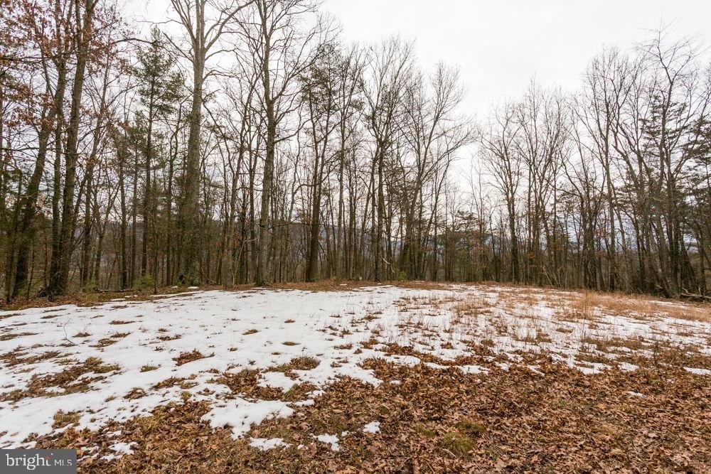 16+ Acres Wooded Retreat