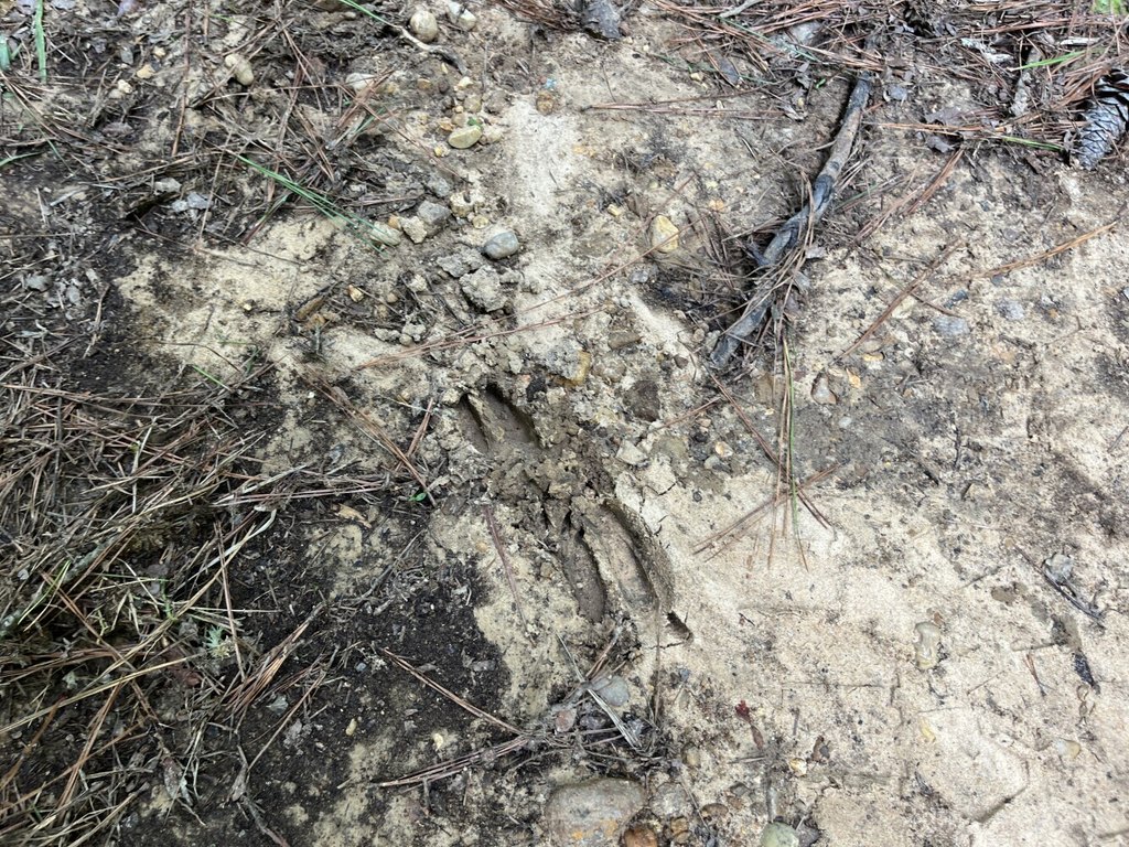 Picture 21