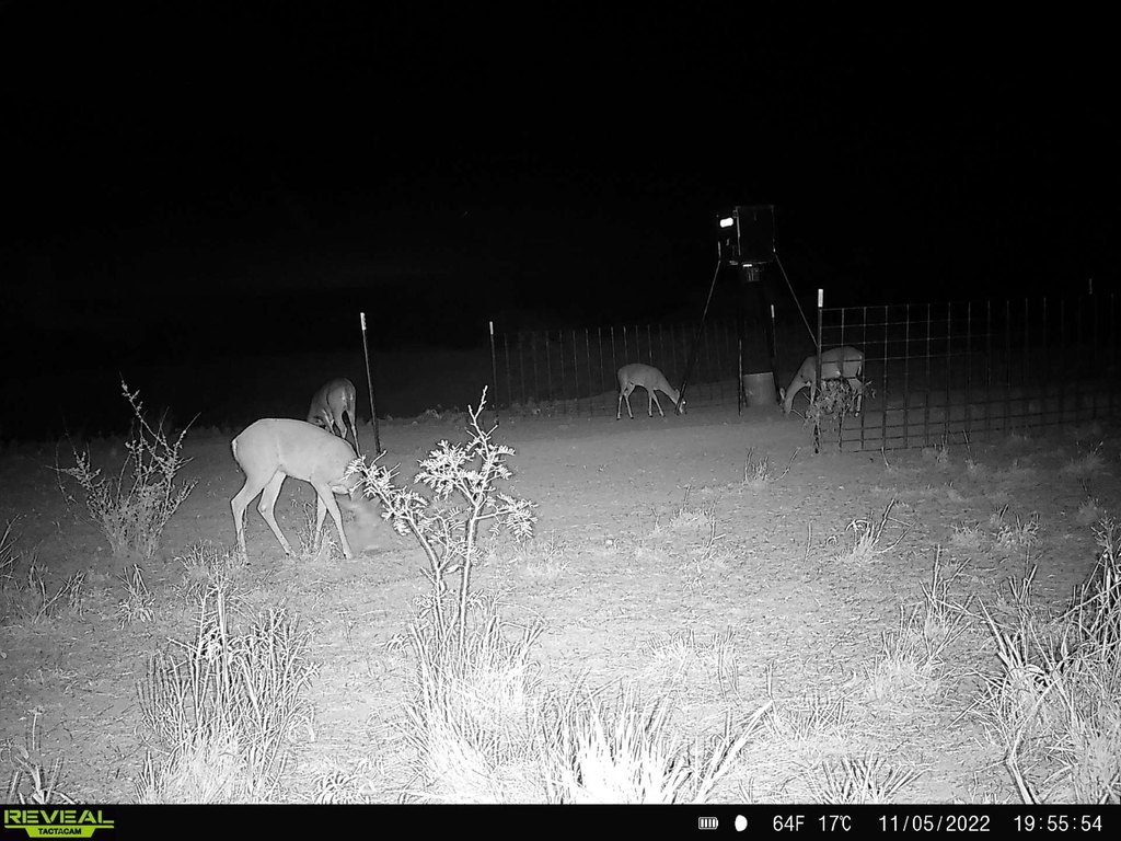 Picture 5