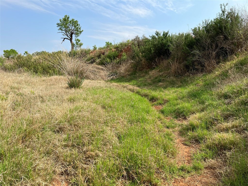 Picture 27