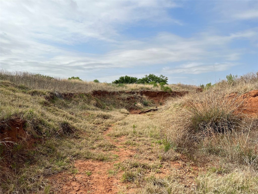 Picture 30