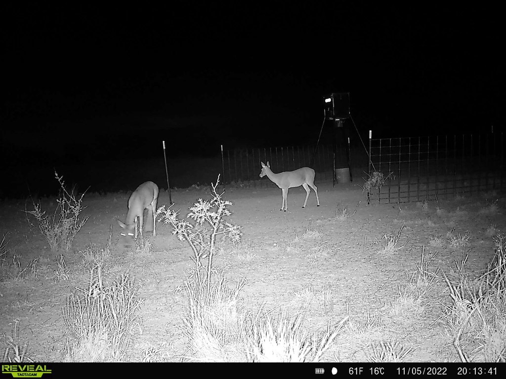 Picture 3