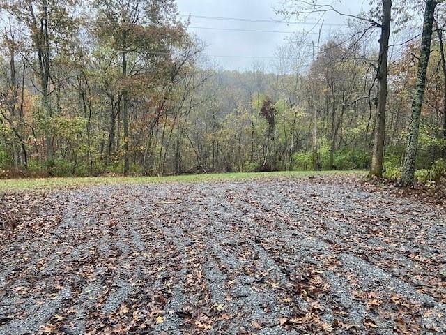 Land in Brooksville, Kentucky