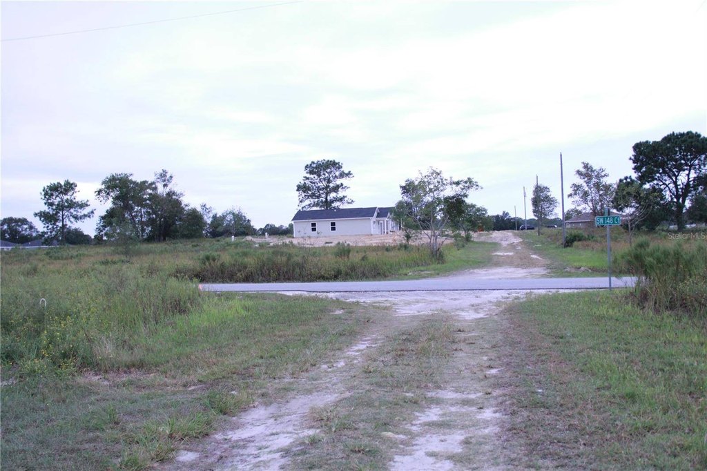 Picture 7