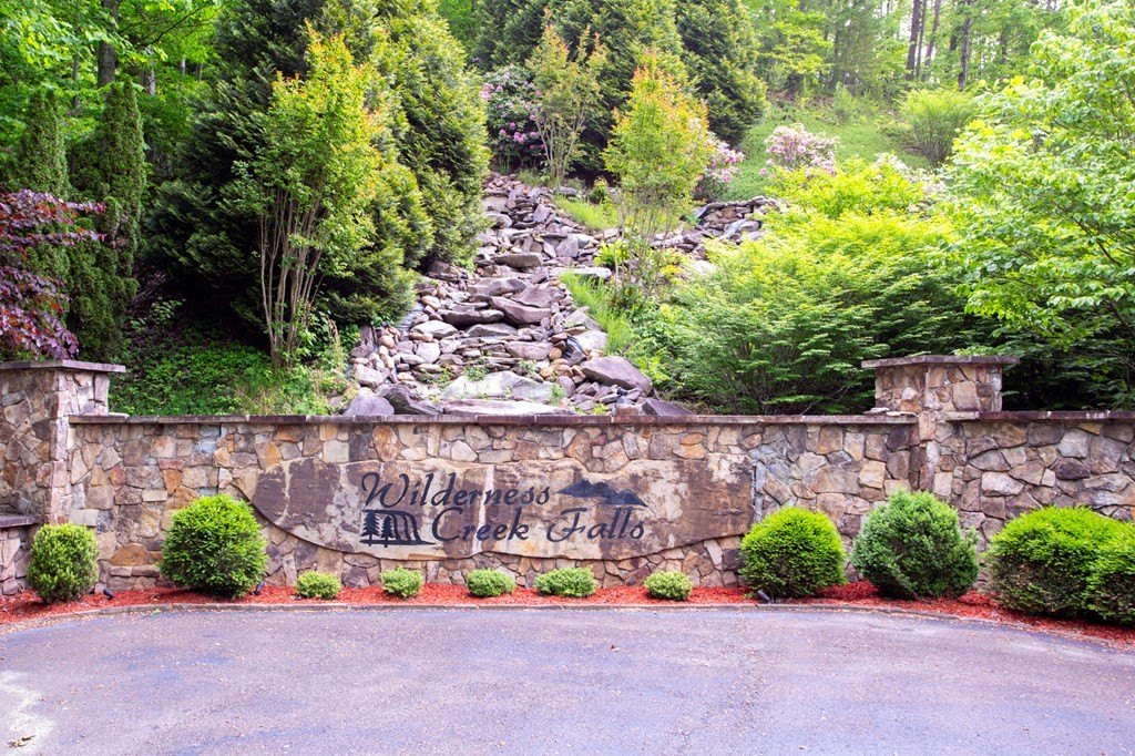Picture 36