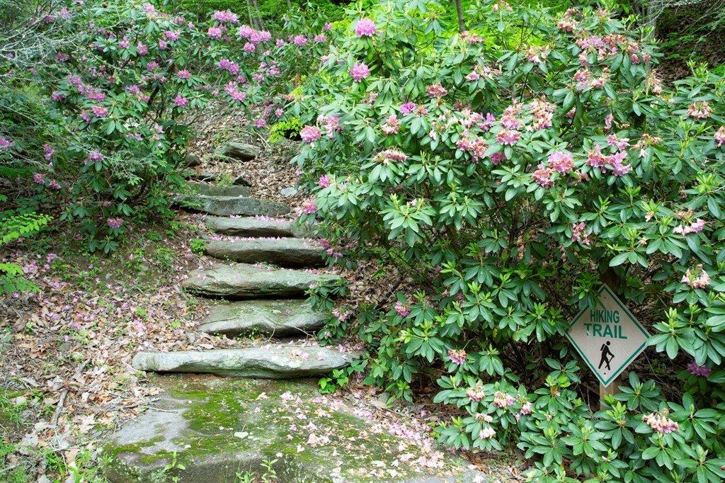 Picture 32