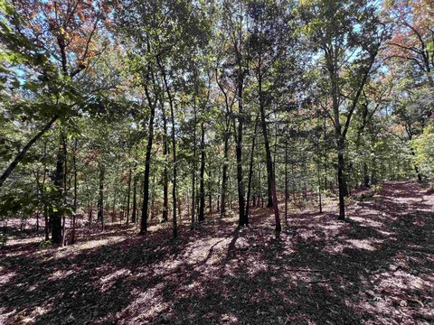 Vacant Land, Sulphur Rock, AR