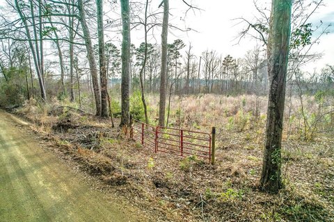 Waterfront Land with Hunting Potential