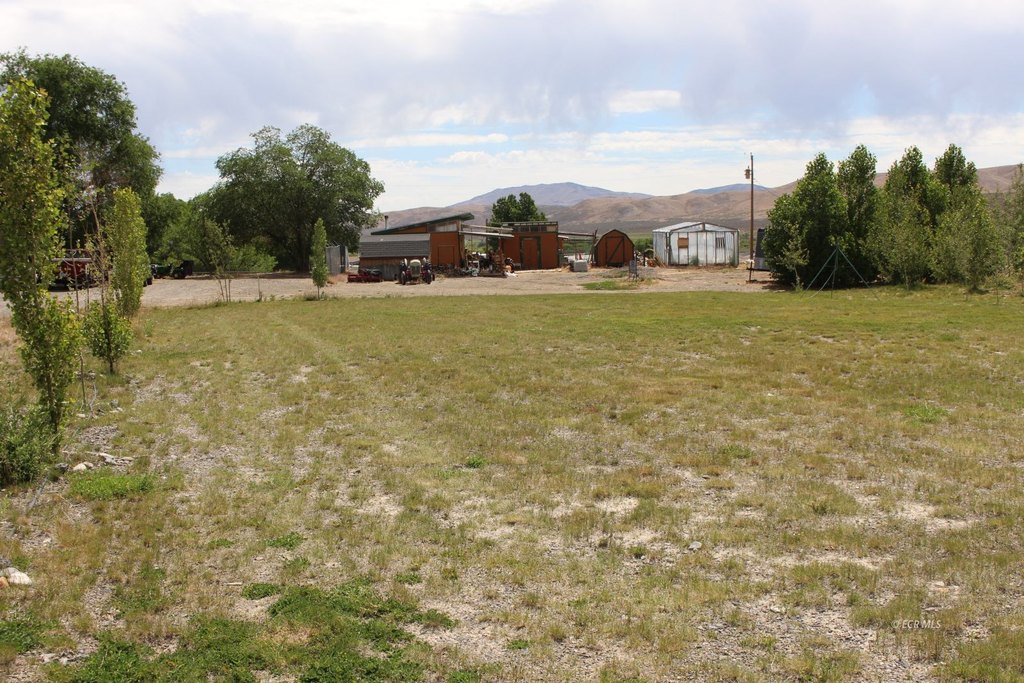 Picture 5