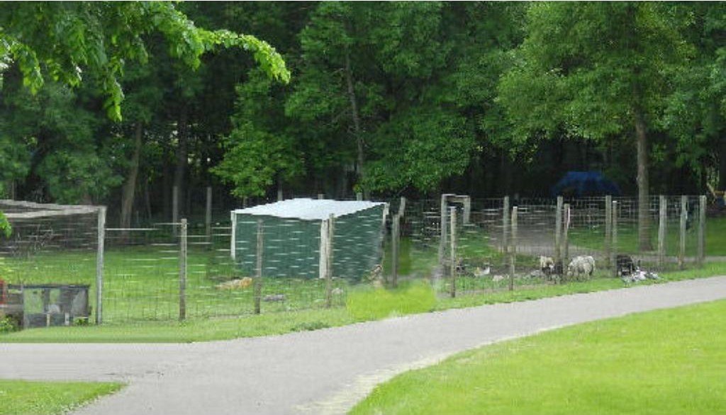 Picture 6