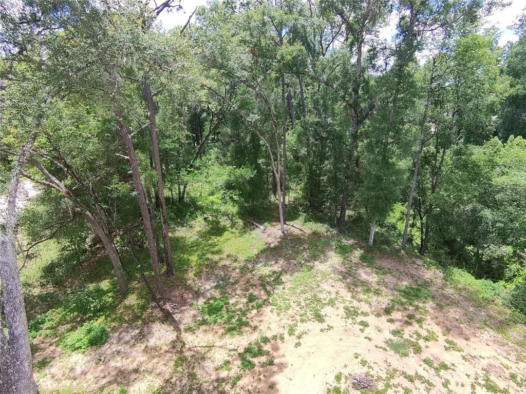 Picture 12