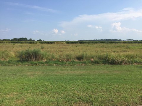 Residential Land Near Mound Lake