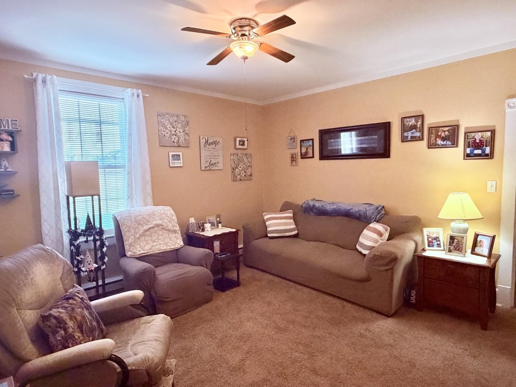 Picture 30