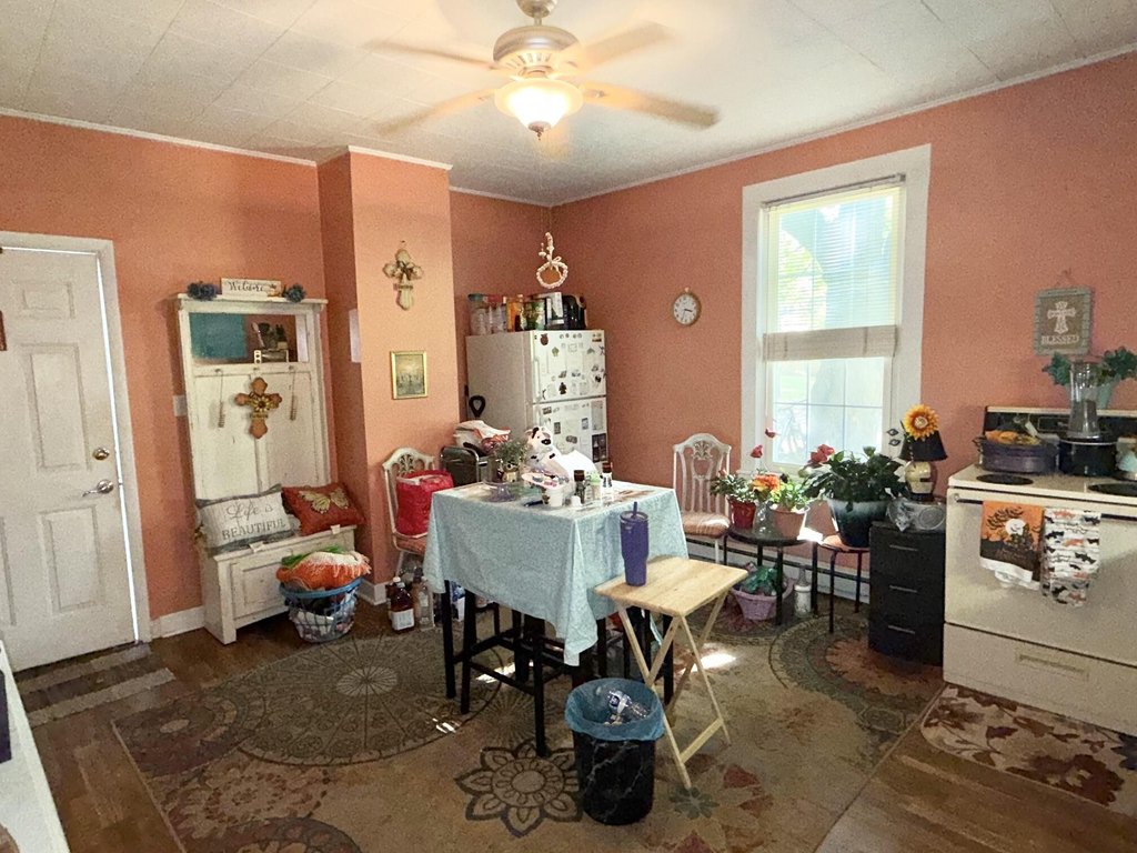 Picture 16