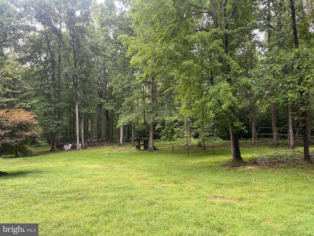 Picture 31